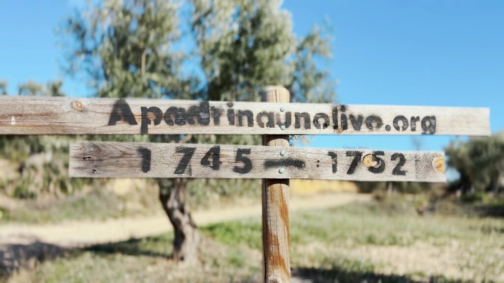 Fotografía de señal de Apadrinaunolivo.org
